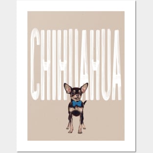 Chihuahua Dog Posters and Art